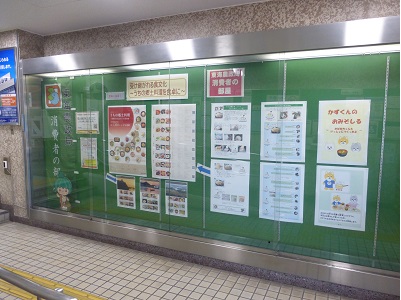 展示の様子