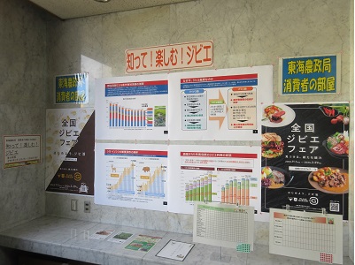 展示の様子