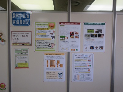 展示の様子