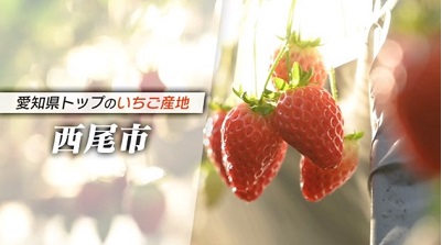 講座の様子