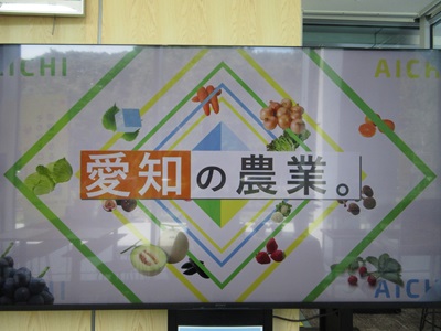 愛知の農業の展示の様子1枚目