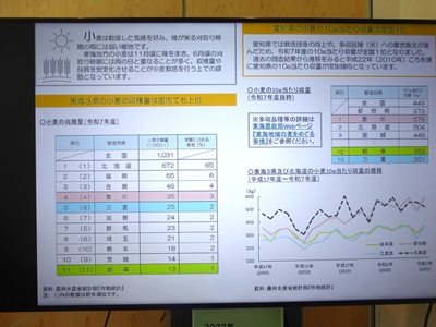 小麦の展示の様子2枚目