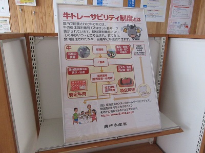 展示内容２枚目