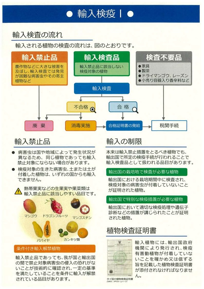 輸入検疫1枚目