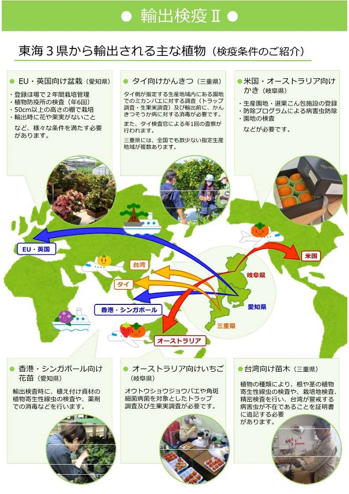 輸出検疫②