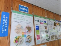展示内容1枚目