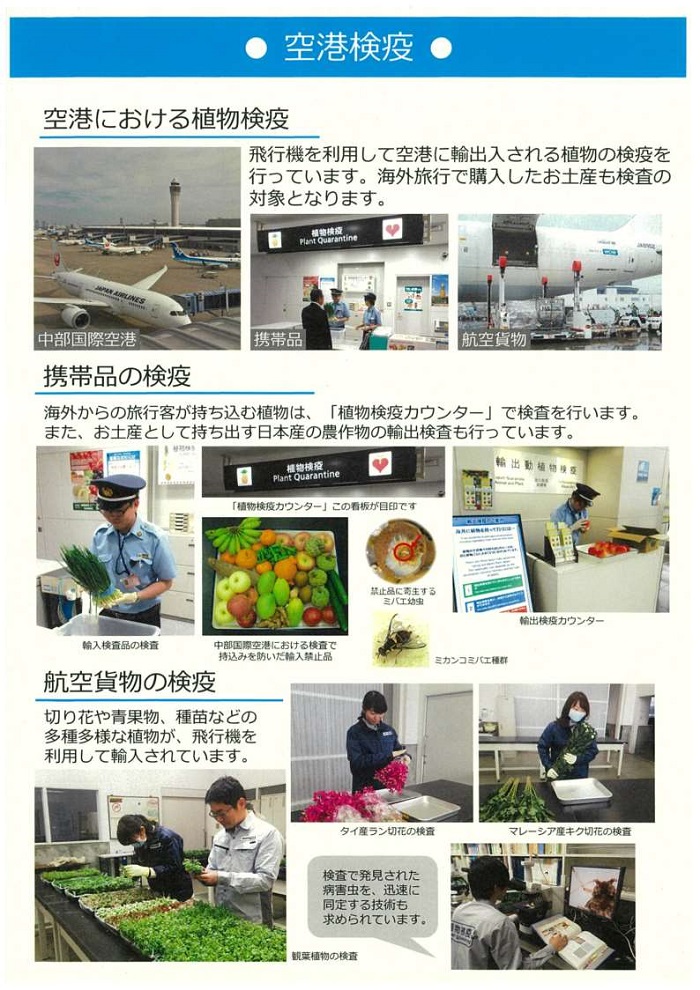 空港検疫