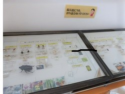 展示内容2枚目
