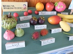 展示内容３枚目