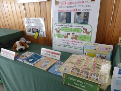 展示内容1枚目