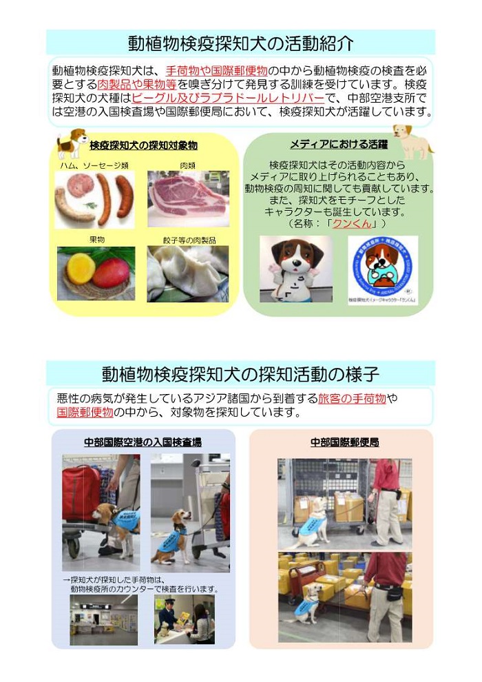 探知犬活動紹介