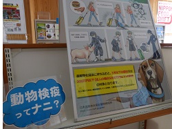 展示内容３枚目