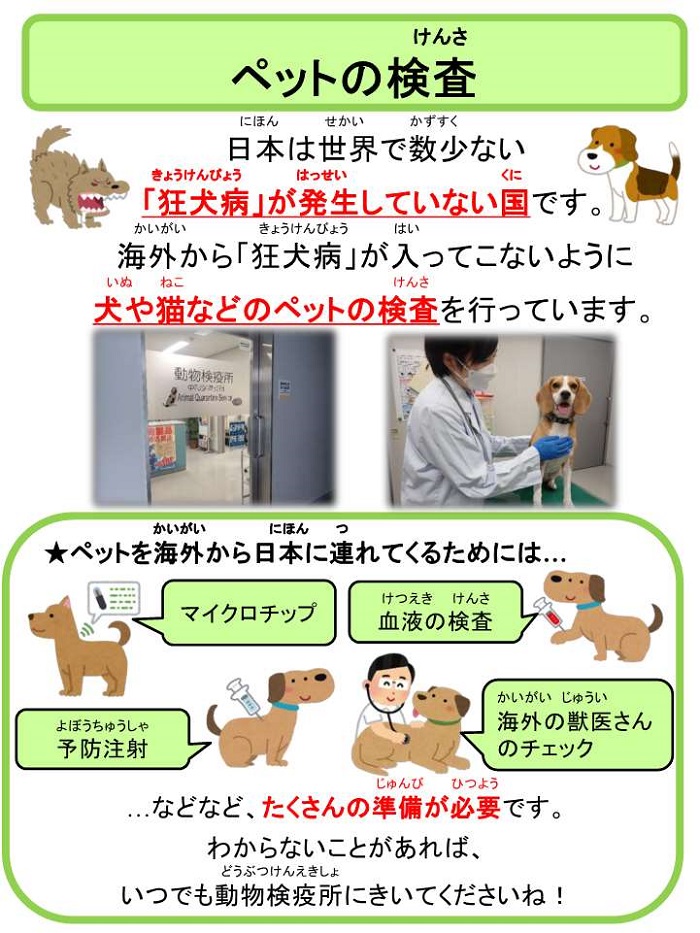 ペットの検査
