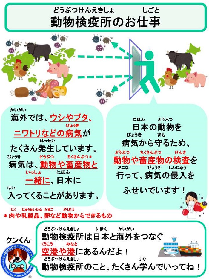 動物検疫所の仕事