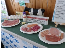 展示内容2枚目