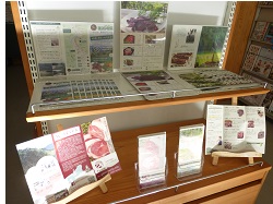 展示内容３枚目