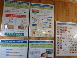 展示内容1枚目