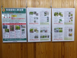 展示パネル