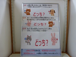 クイズ