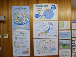 展示の様子