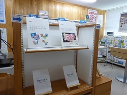 クイズの様子