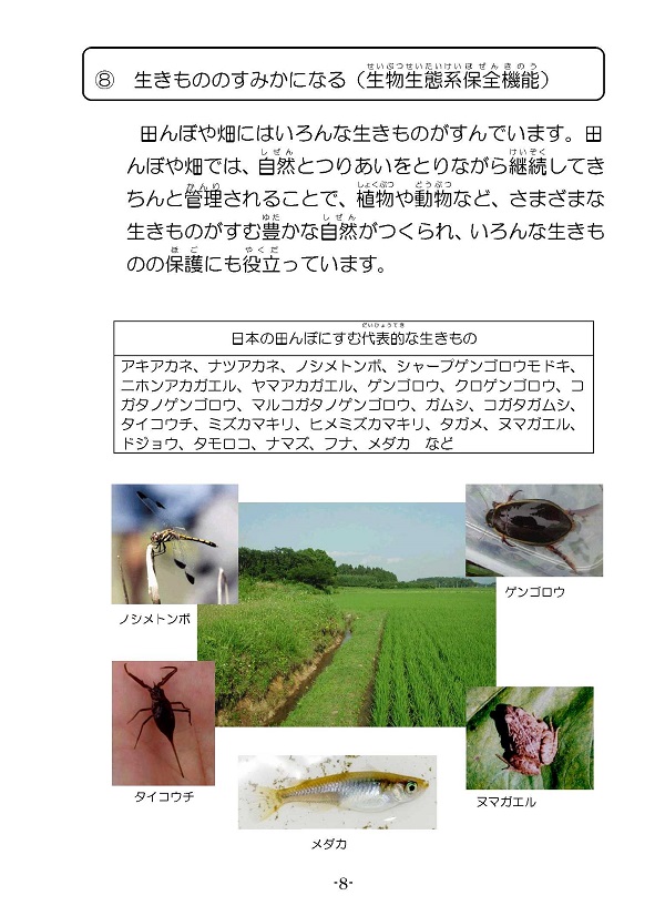 多面的機能の内容8