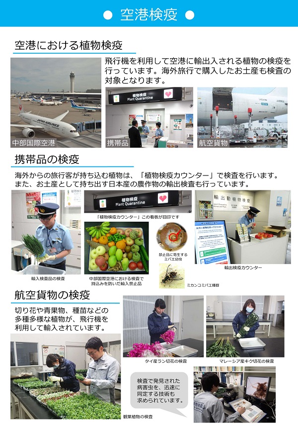 空港検疫