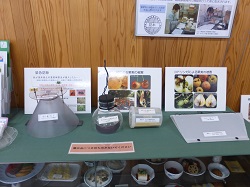 器具の展示