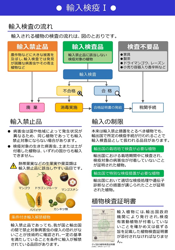 輸入検疫その1