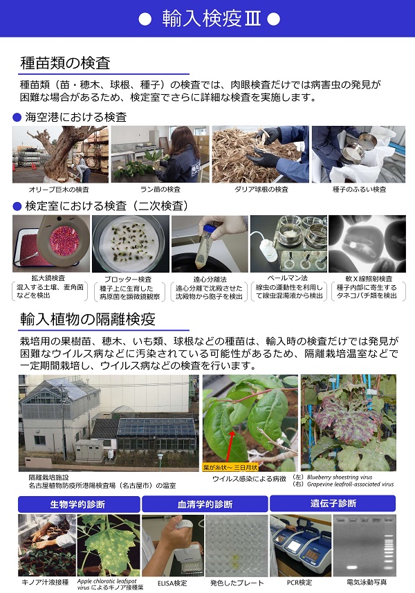 輸入検疫その3