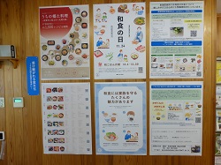 展示の様子