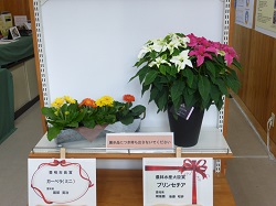 入賞作品その3