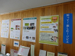 ポスター展示1