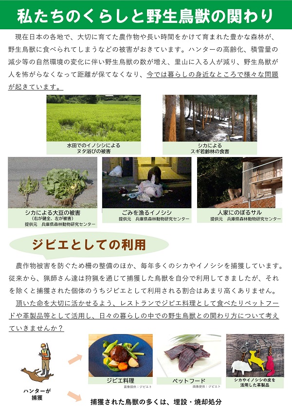 私たちの暮らしと野生鳥獣のかかわり