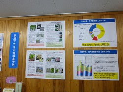 展示の様子