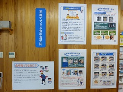 展示の様子
