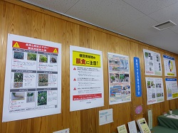 展示の様子