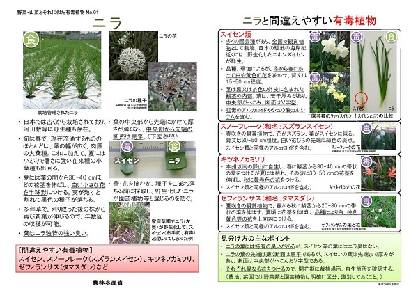 展示資料
