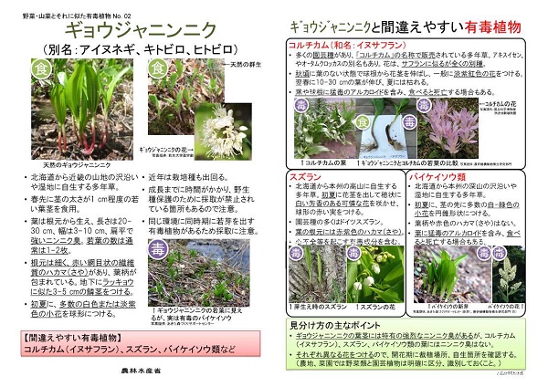 展示資料