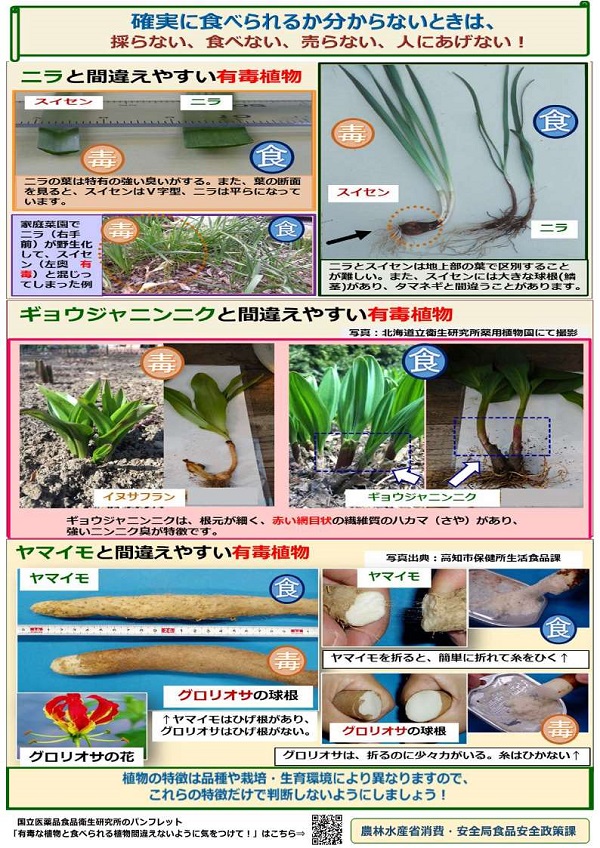 展示資料