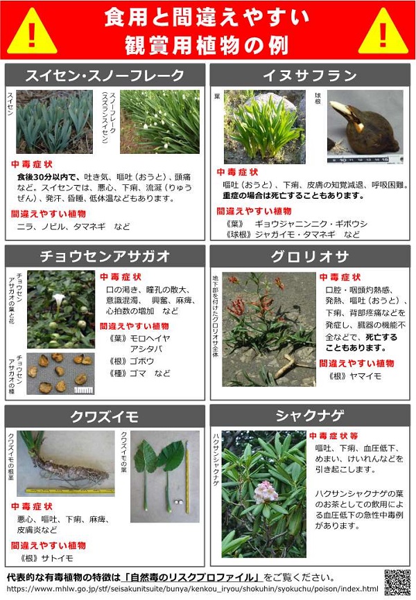 展示資料