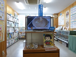 展示の様子