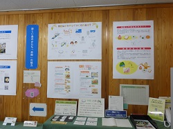展示の様子