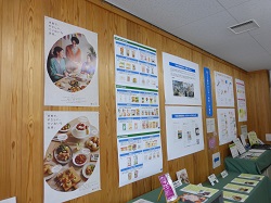 展示の様子