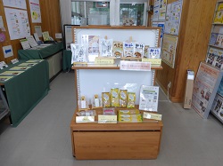 展示の様子