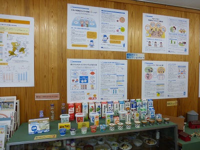 展示の様子