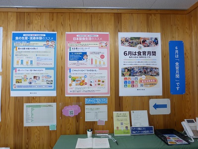 展示の様子