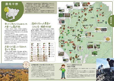 展示の様子