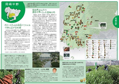 展示の様子
