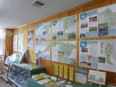 展示の様子